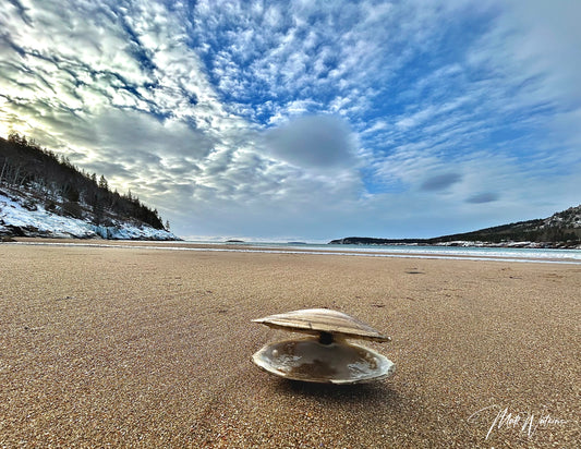 Acadia National Park beach print