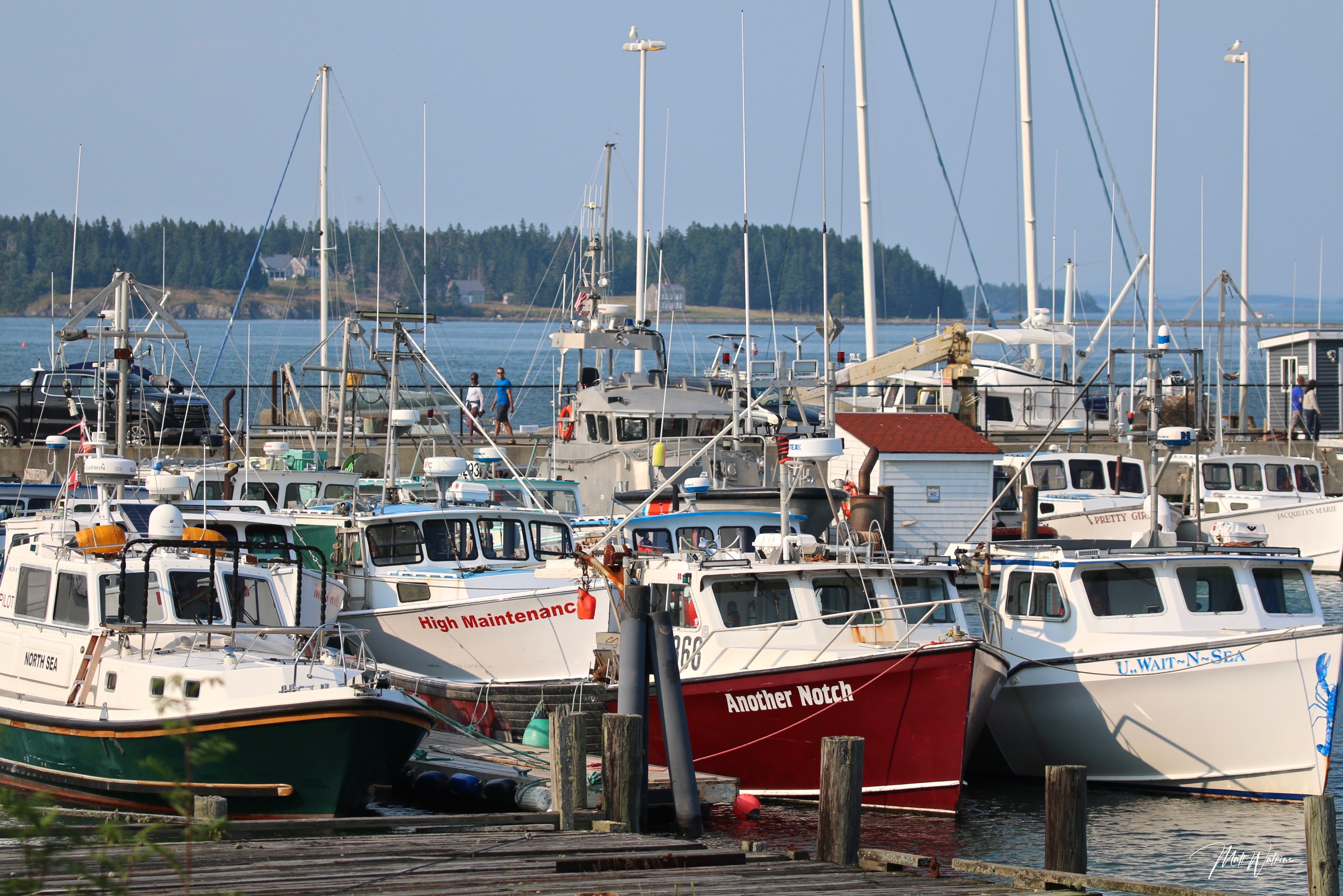 Eastport Harbor, Maine