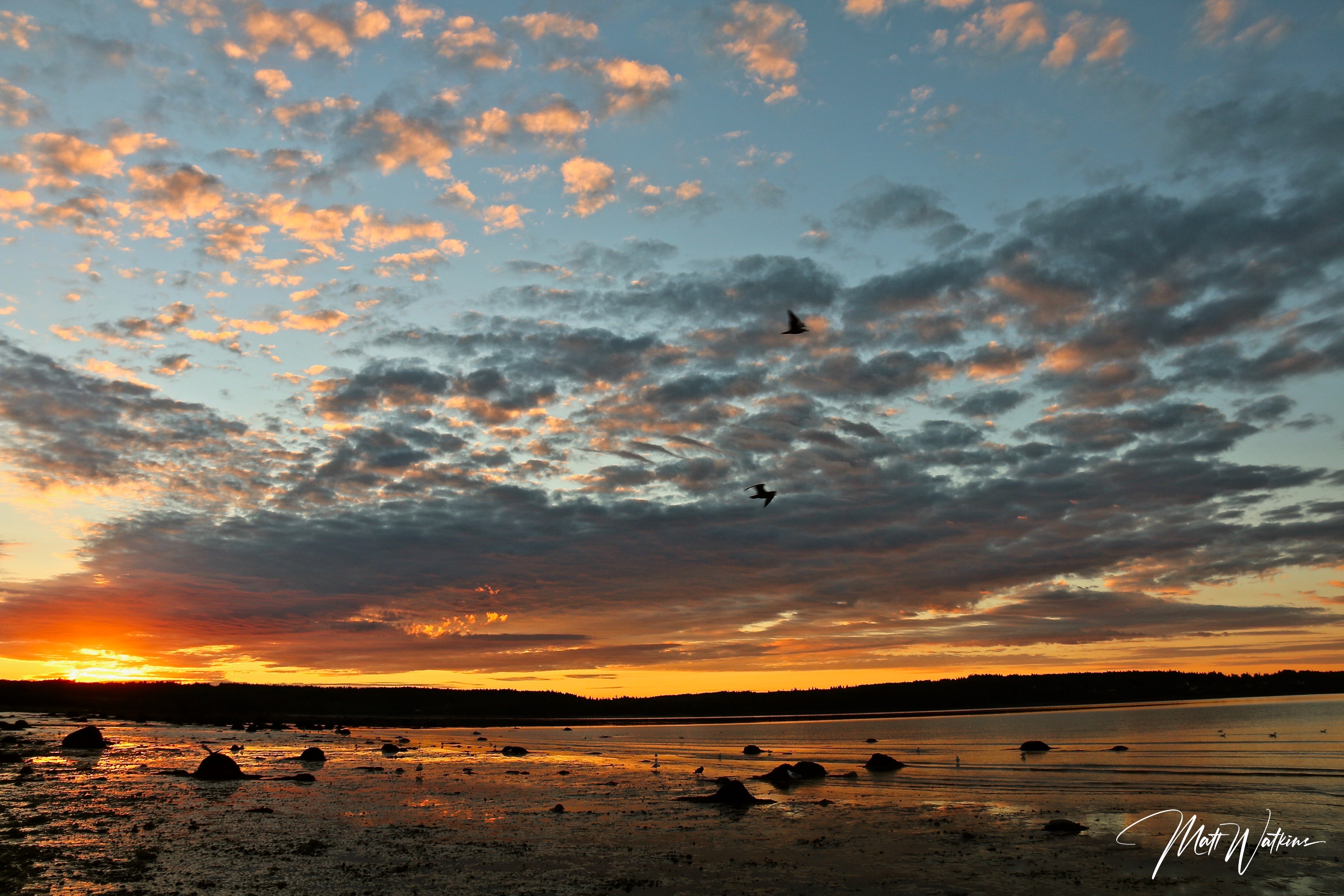 Cutler Maine sunset at low tide