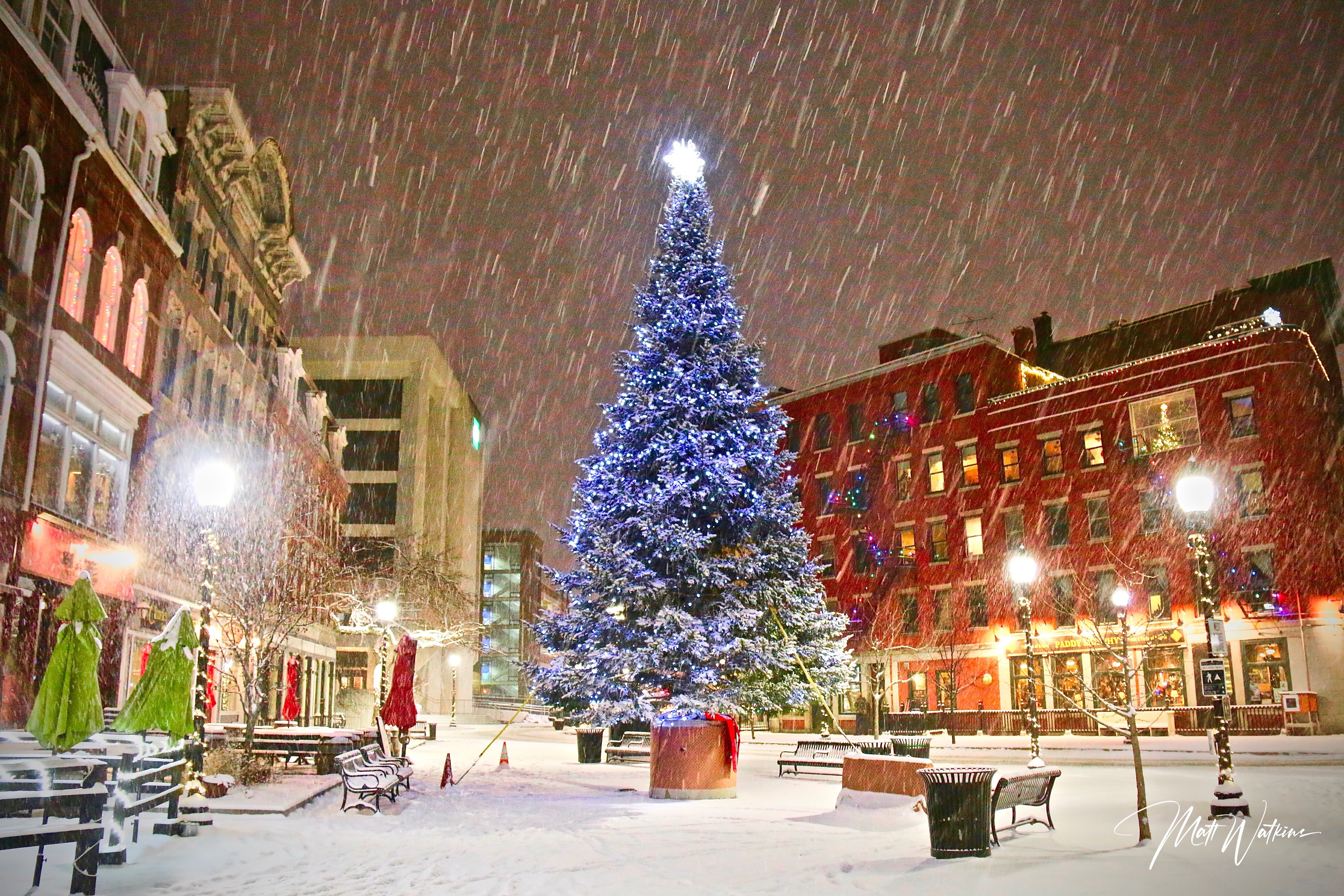 Holiday Photo, Christmas tree in Downtown, Bangor