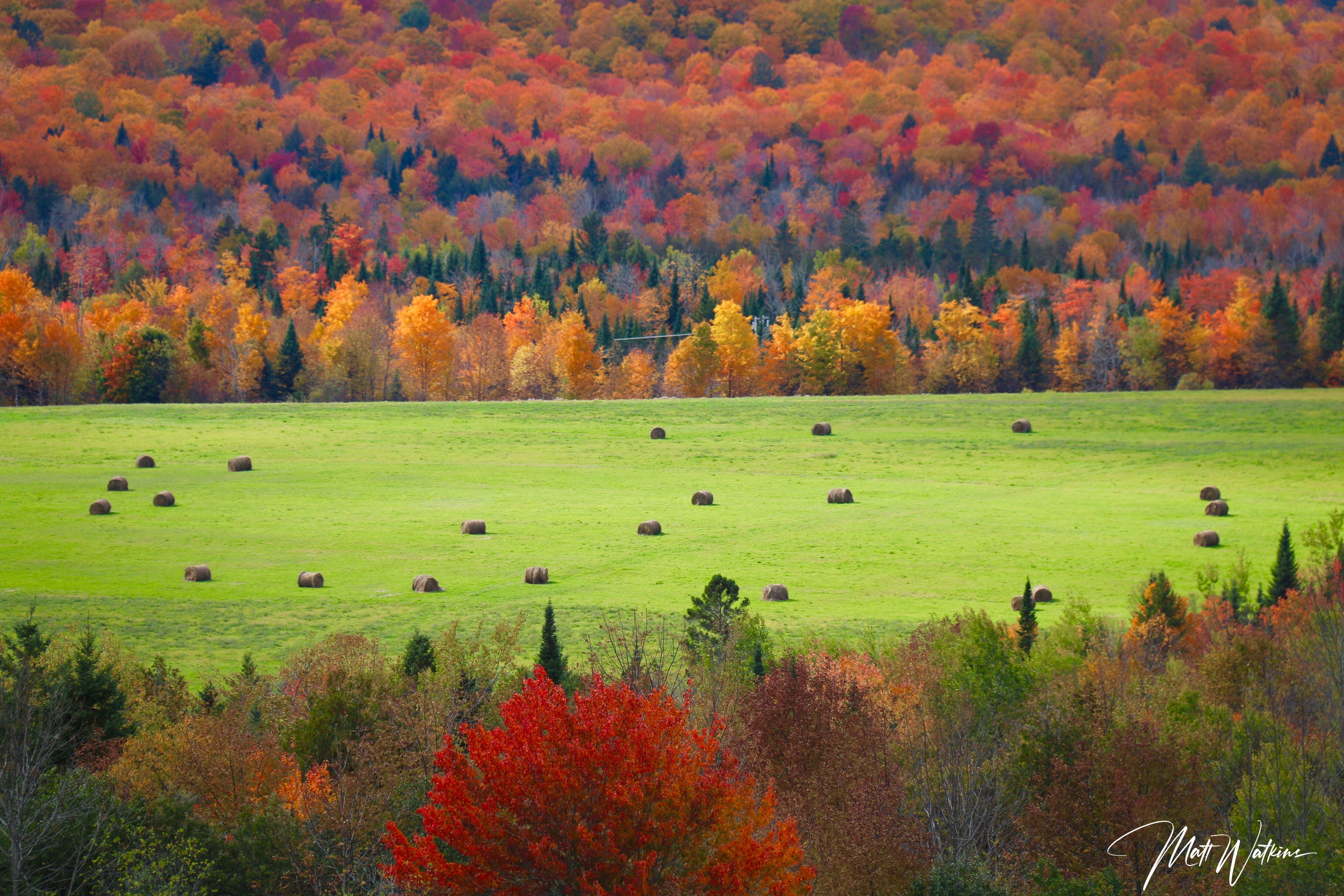 Fall foliage colors taken in Patten, Maine.