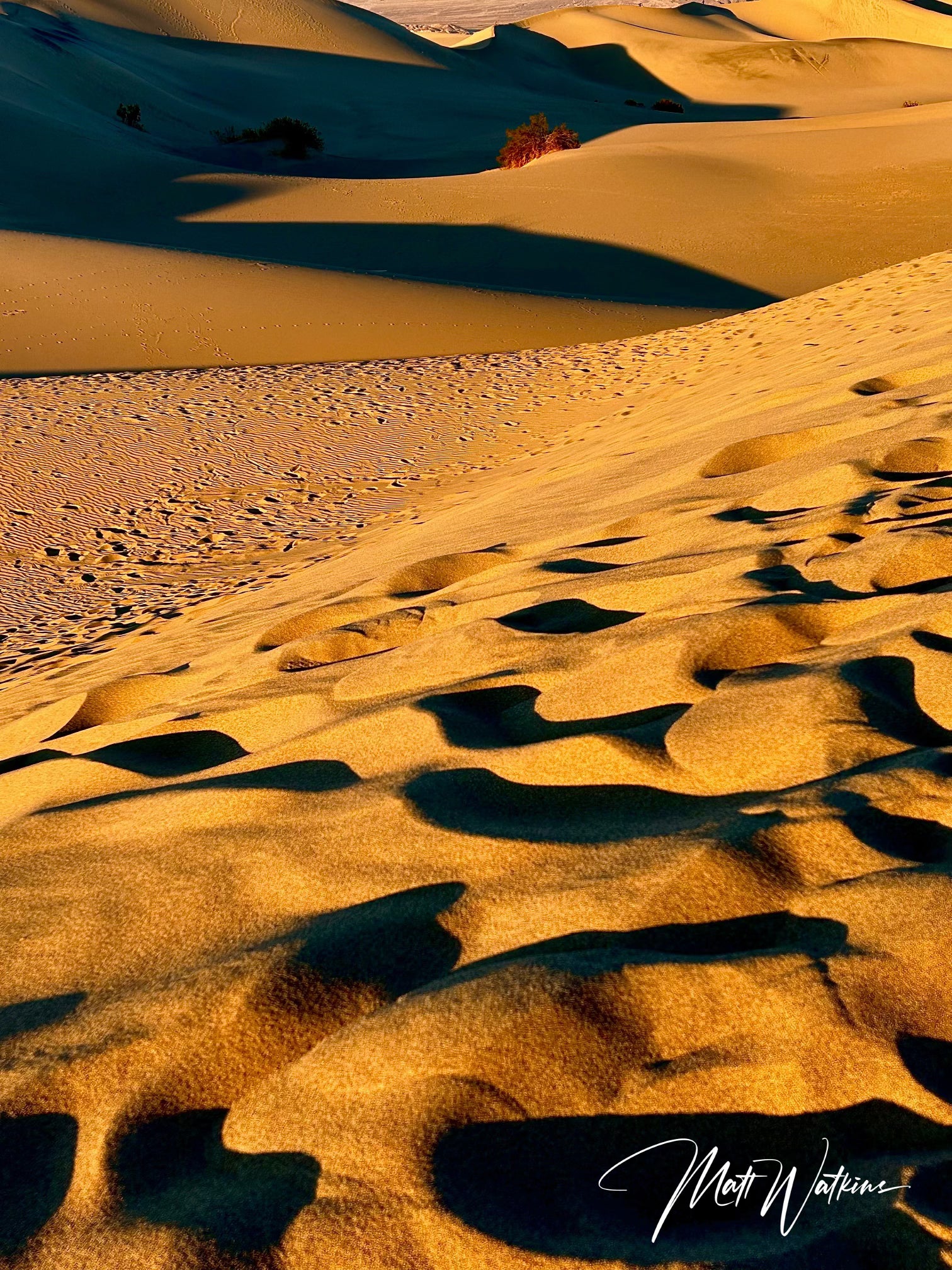 Death Valley National Park