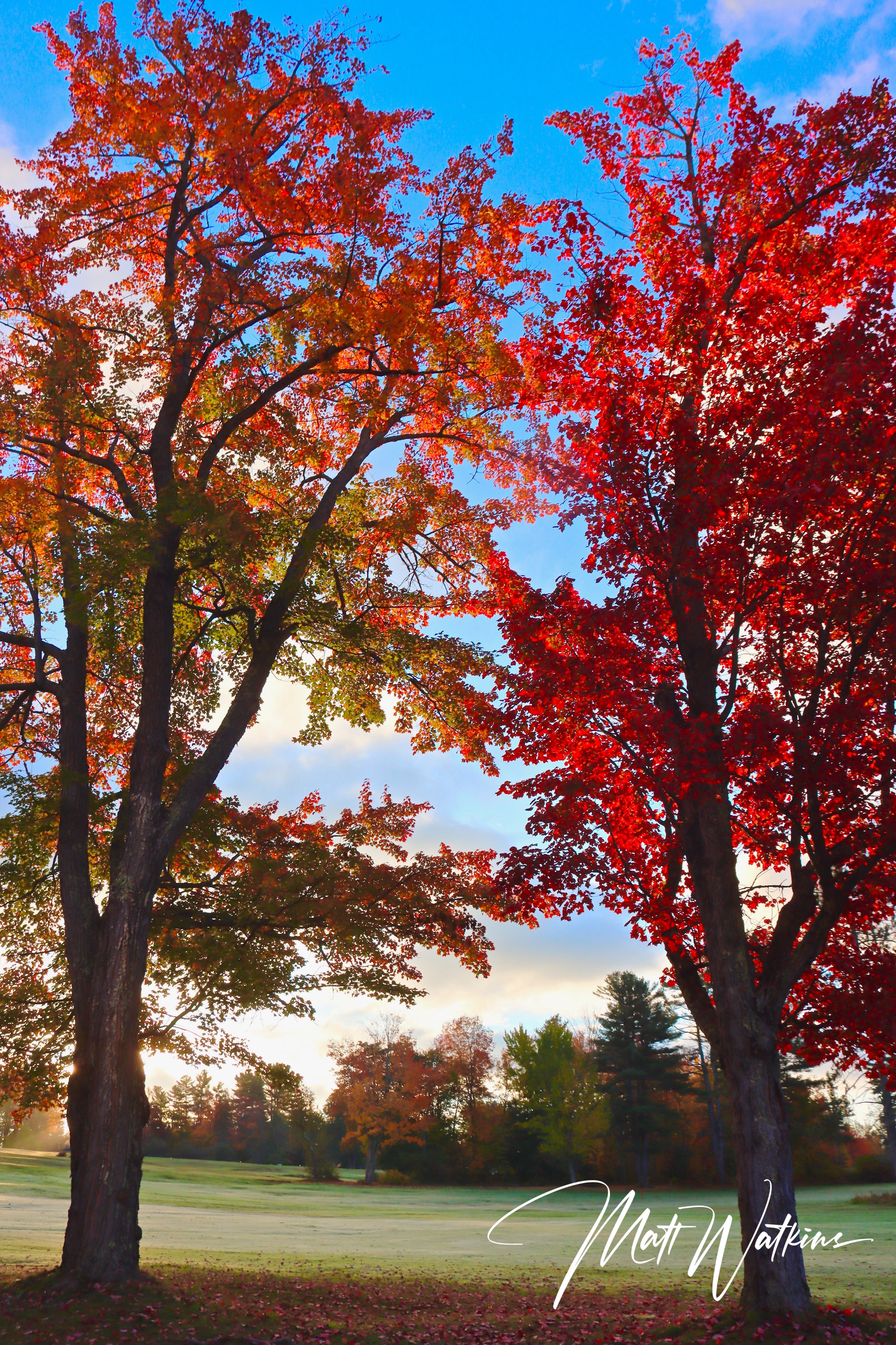 Fall colors taken in Bethel, Maine