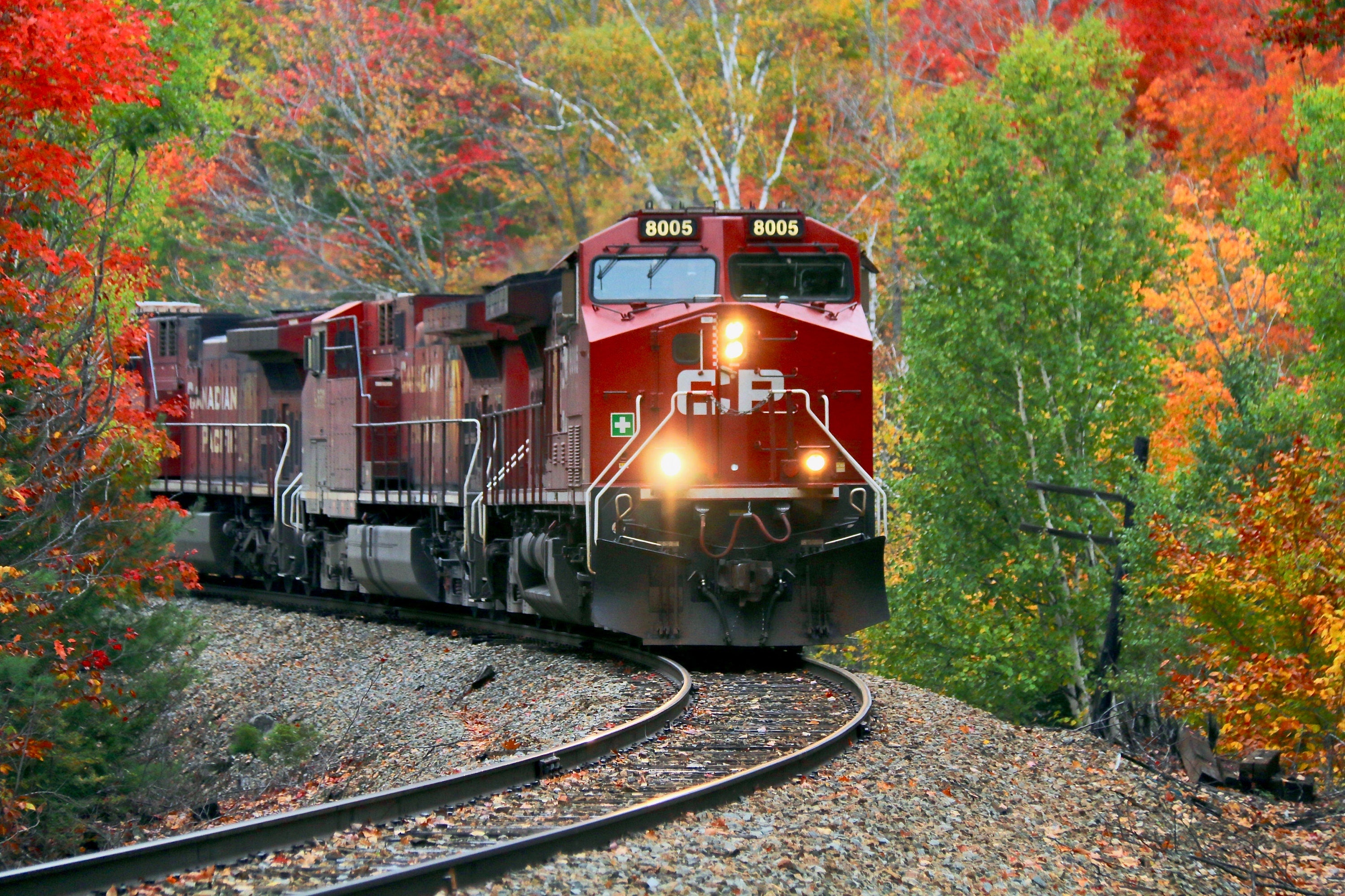 Fall foliage season train tracks