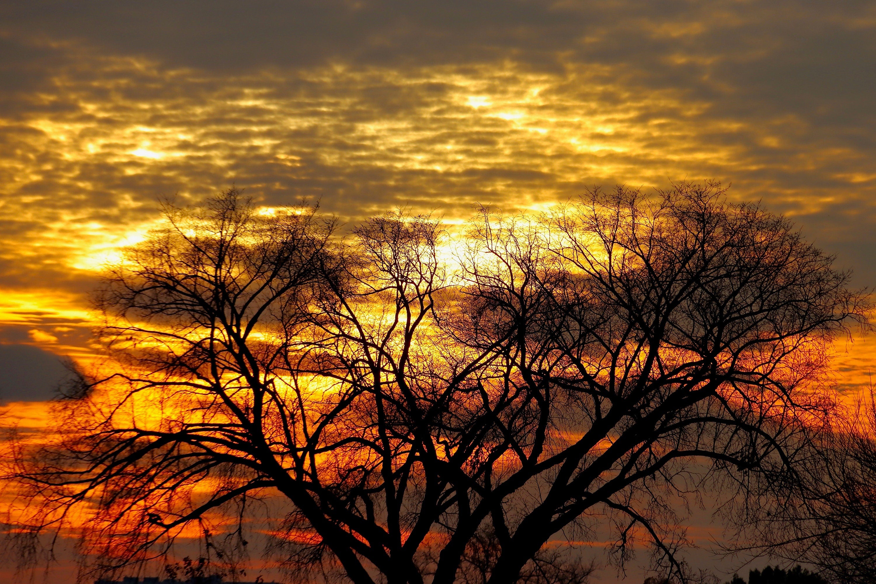 Sunset in Washington DC